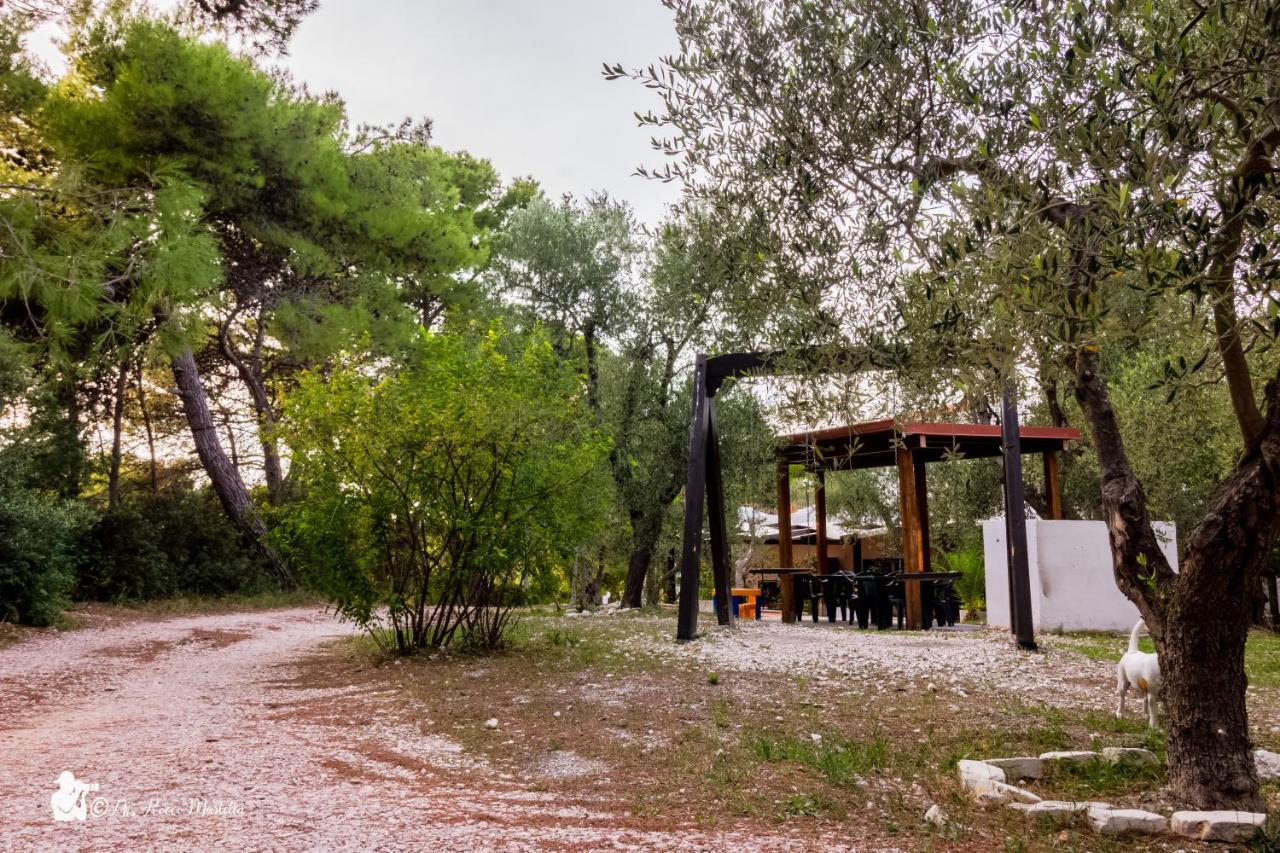Villa Anna Residence Rodi رودي غارغانيكو المظهر الخارجي الصورة